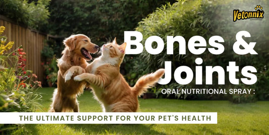 Vetonnix Bones & Joints Oral Nutritional Spray: The Ultimate Support for Your Pet’s Health