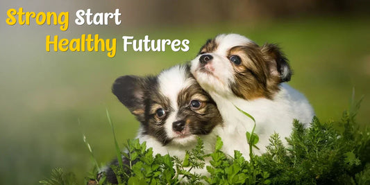 puppy growth supplement