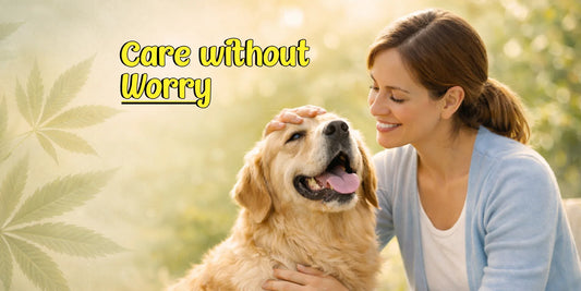 Hemp Seed Oil: A Natural Supplement for Pets