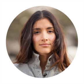 Pet Nutritional Spray Supplements