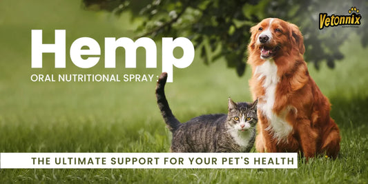 Vetonnix Hemp Spray: The Soothing Solution for Your Pet’s Anxiety