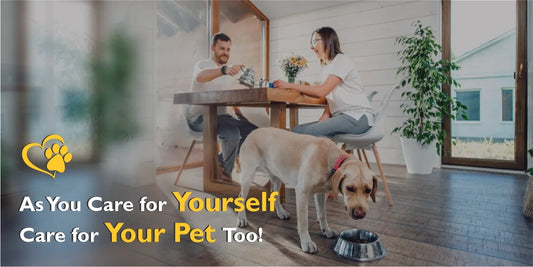 As You Care for Yourself, What About a Multivitamin for Your Pet?