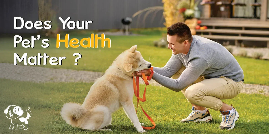 Why are Multivitamins important for pets?