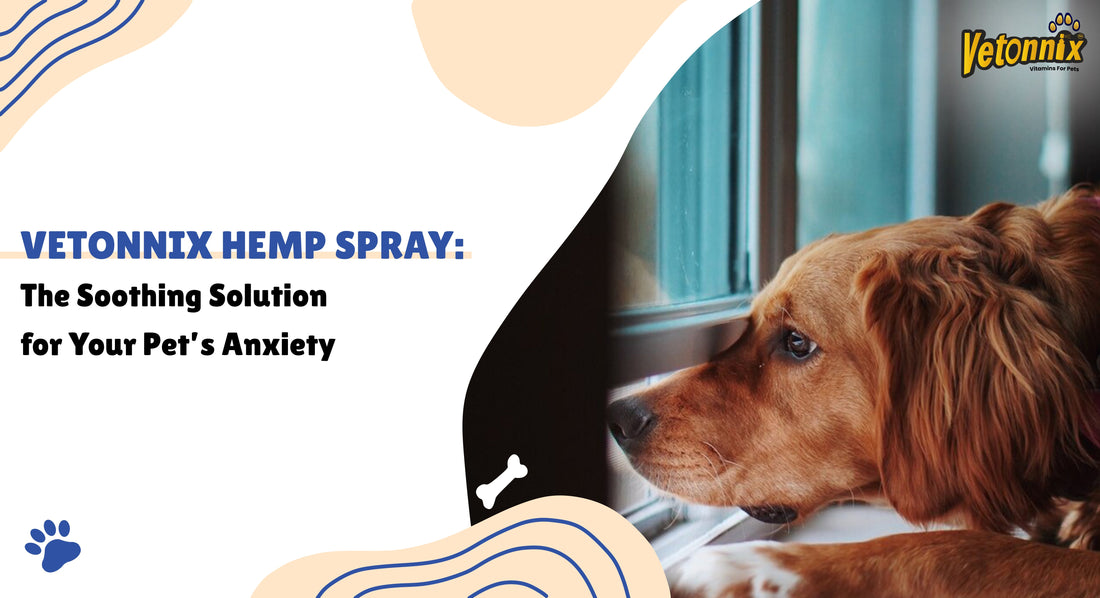 Vetonnix Hemp Spray: The Soothing Solution for Your Pet’s Anxiety