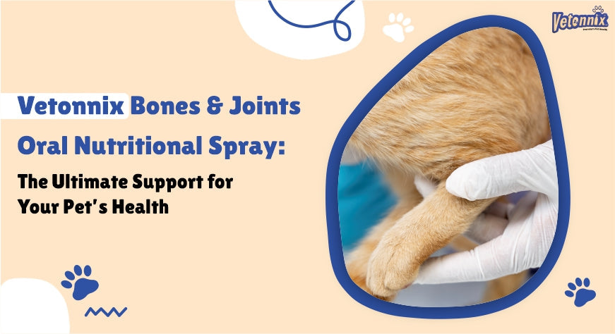 Vetonnix Bones & Joints Oral Nutritional Spray: The Ultimate Support for Your Pet’s Health