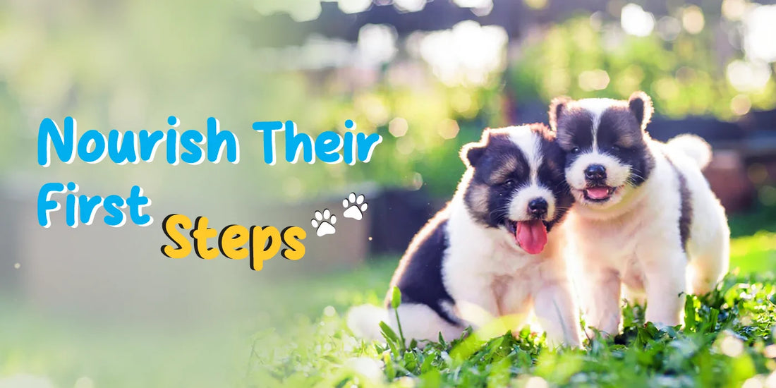 Give Your Pet the Right Start: Growth Supplements That Last a Lifetime