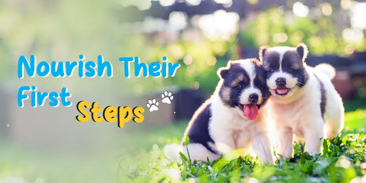 Give Your Pet the Right Start: Growth Supplements That Last a Lifetime