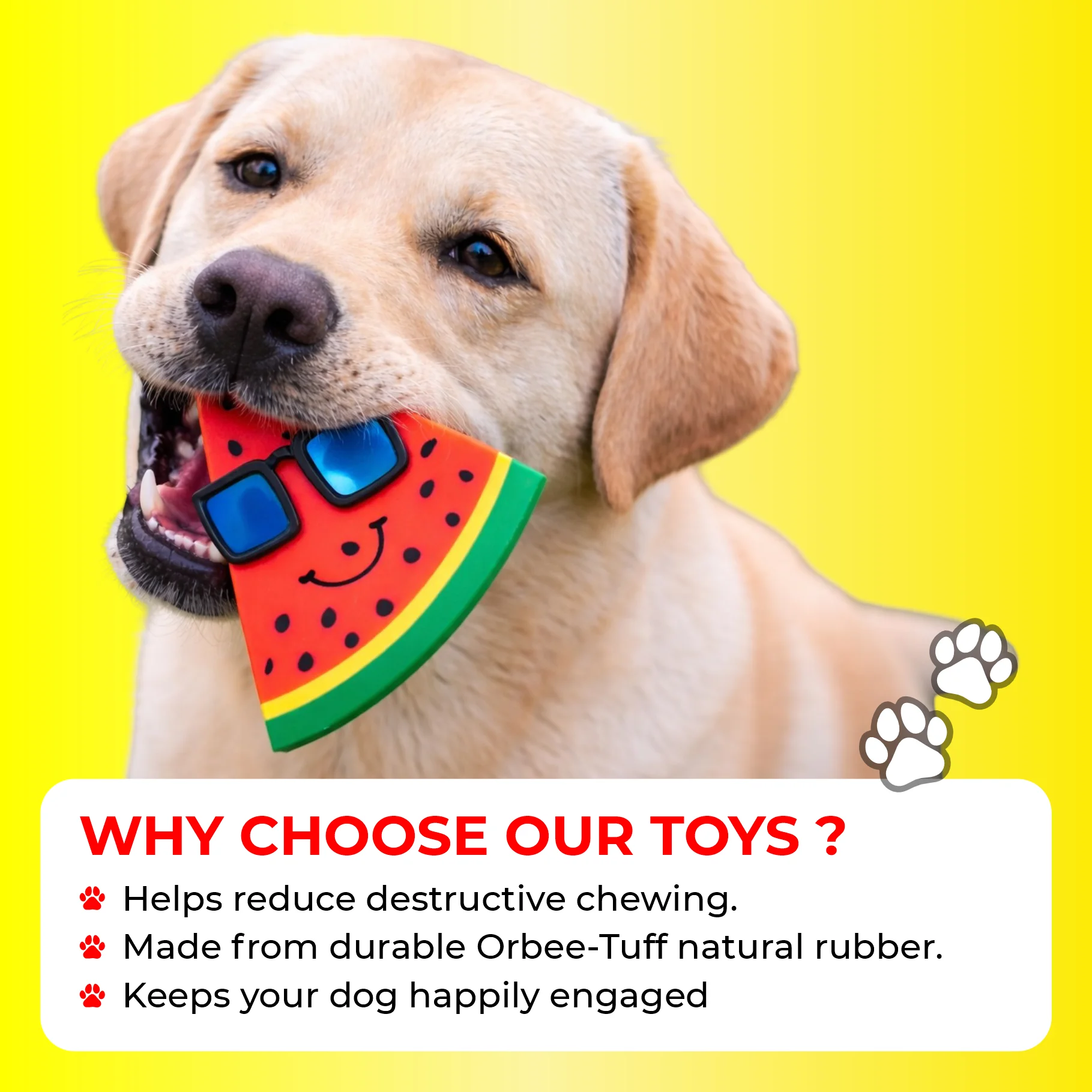 dog joint supplements