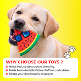 dog joint supplements