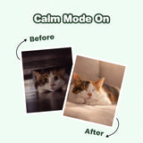 pet calming spray