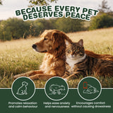 calming supplements for dogs