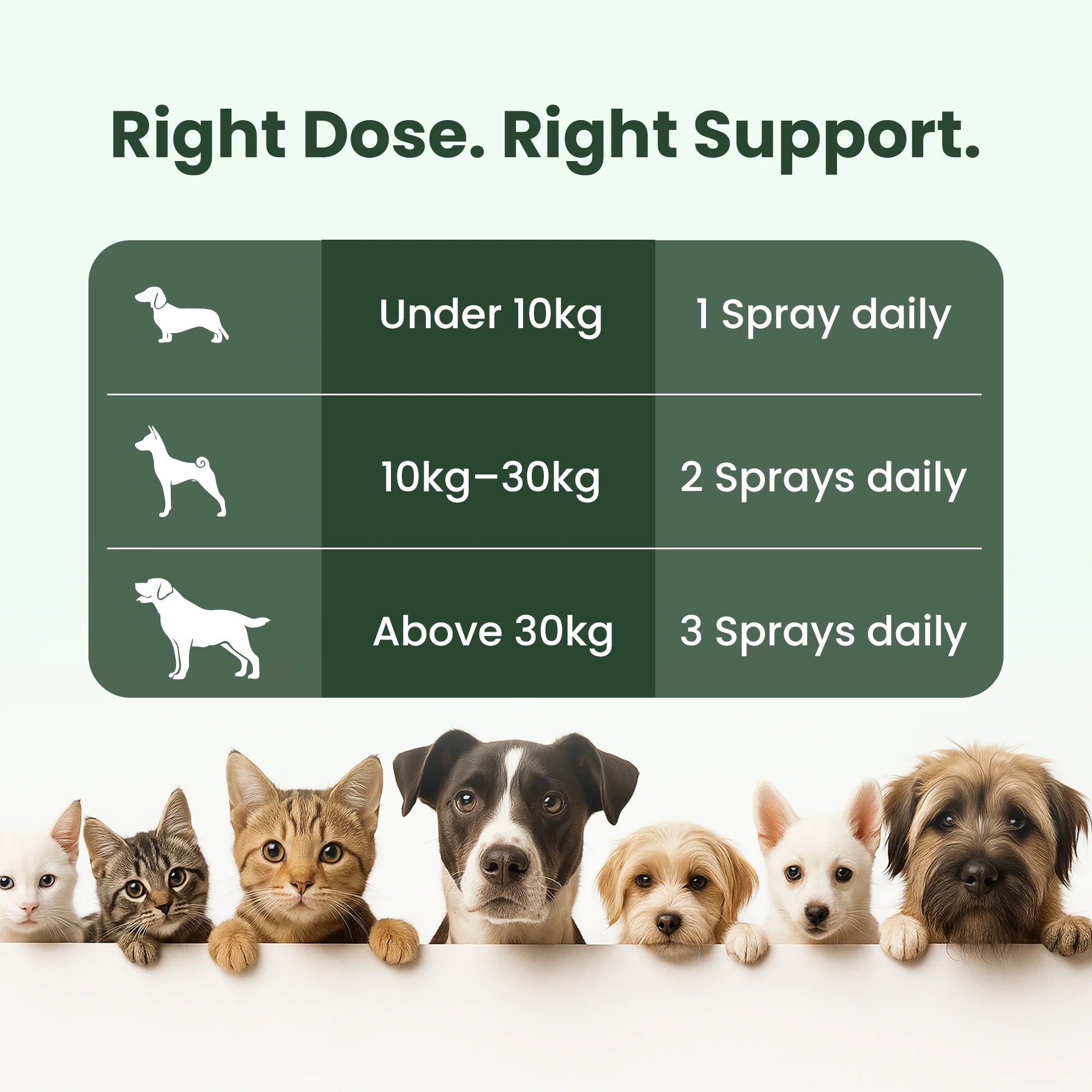 puppy calming supplements