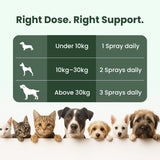 puppy calming supplements