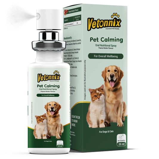 calming support for dogs