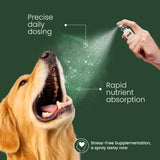 pet calming supplements