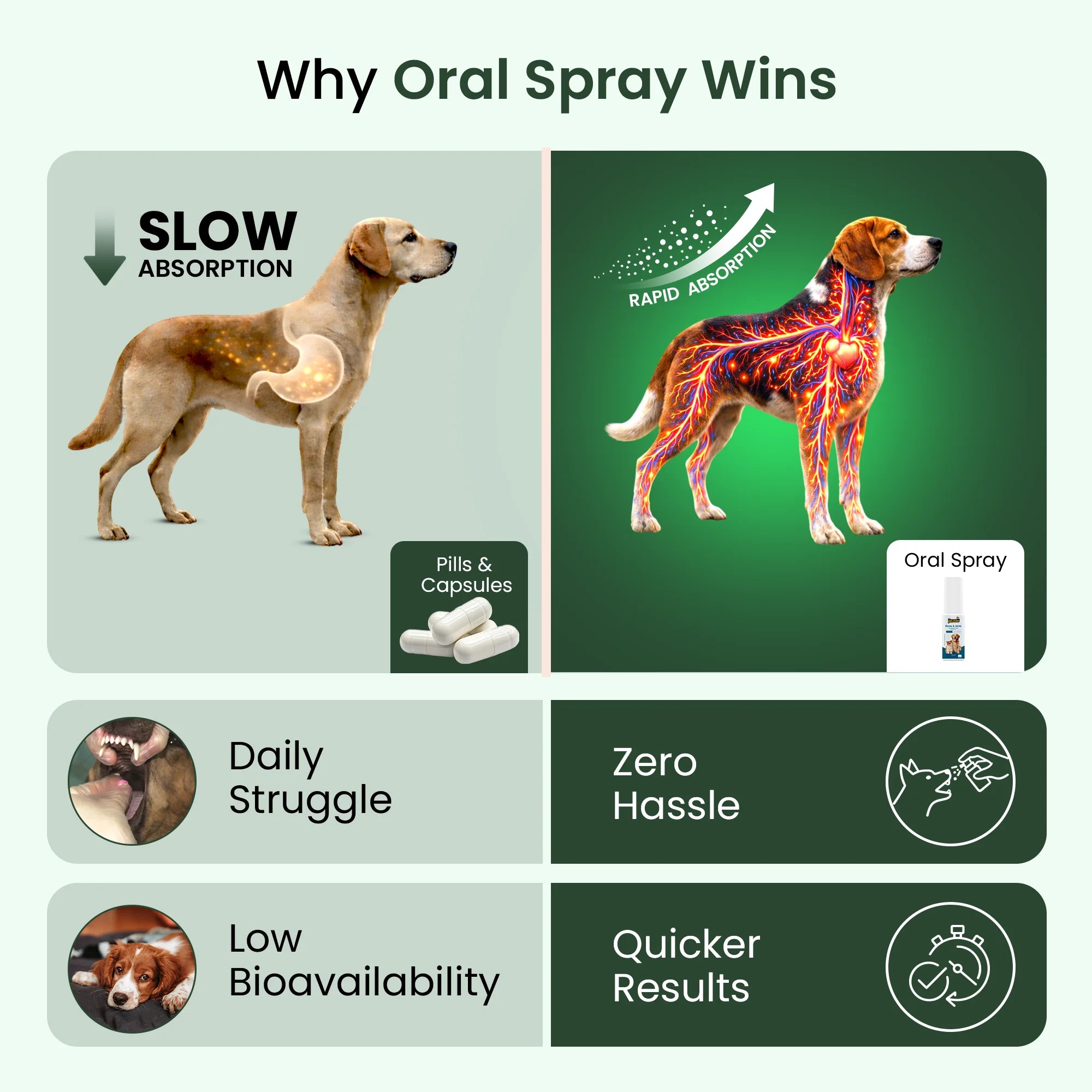dog vitamins for muscle growth