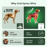 dog vitamins for muscle growth