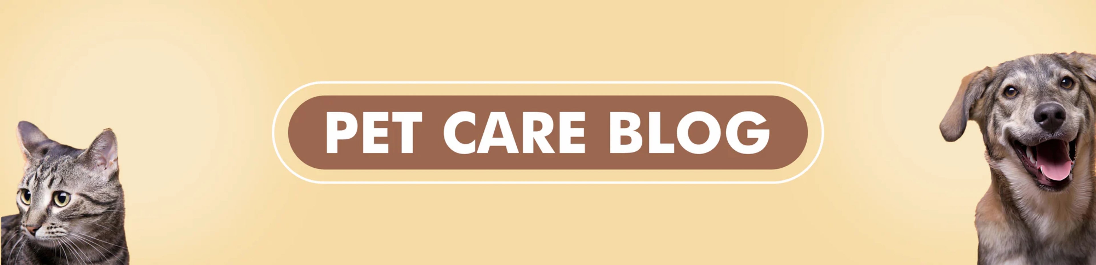 Pet care blog