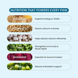 dog joint supplements india