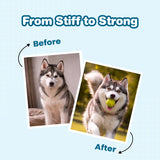 dog hip joint supplement