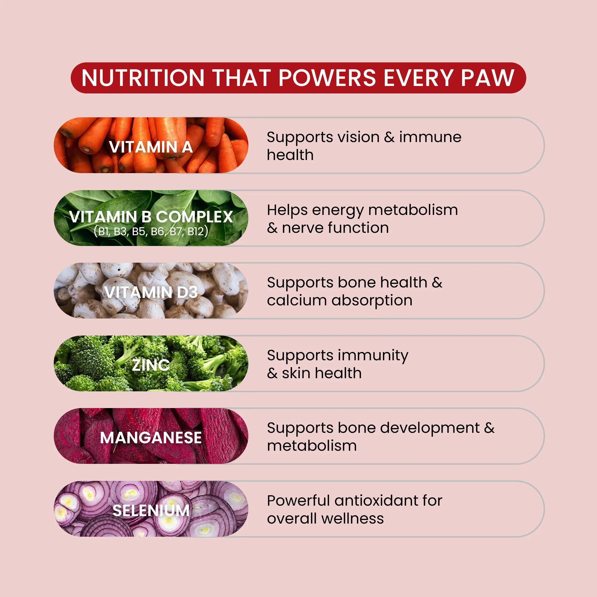 pet health multivitamin for dogs
