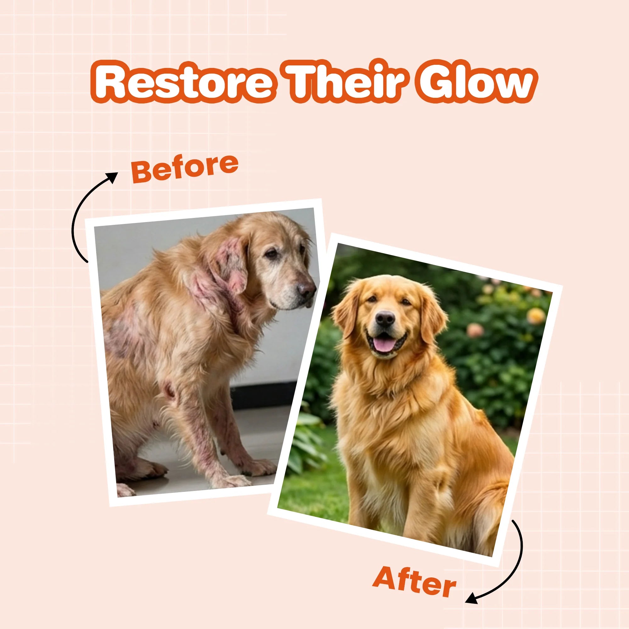 coat supplements for dogs