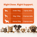 supplements for dog fur