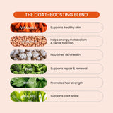 dog hair oral supplements