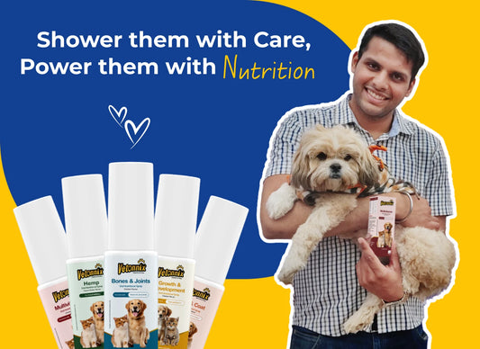 nutritional supplements for dogs