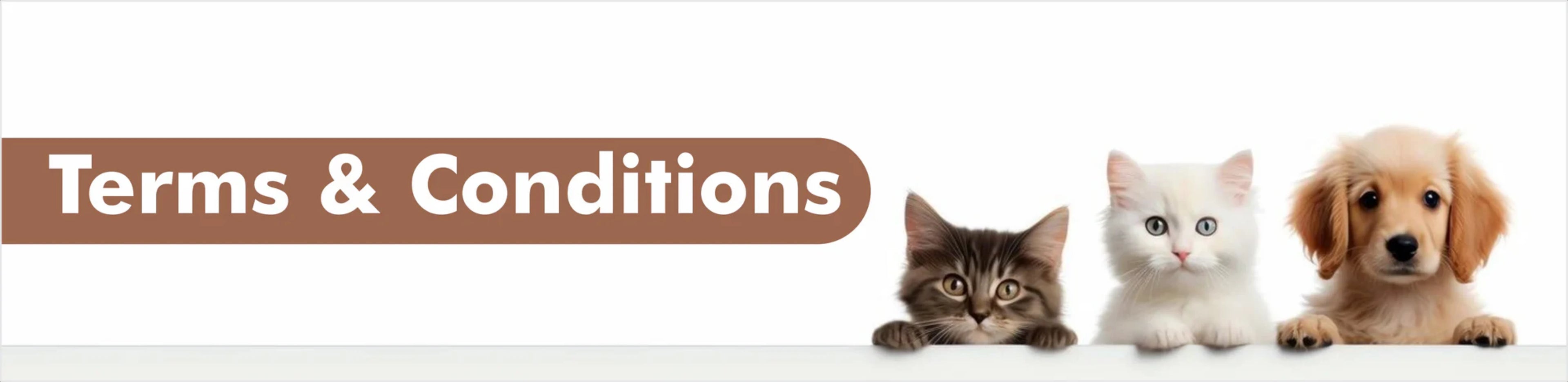 Term and conditions