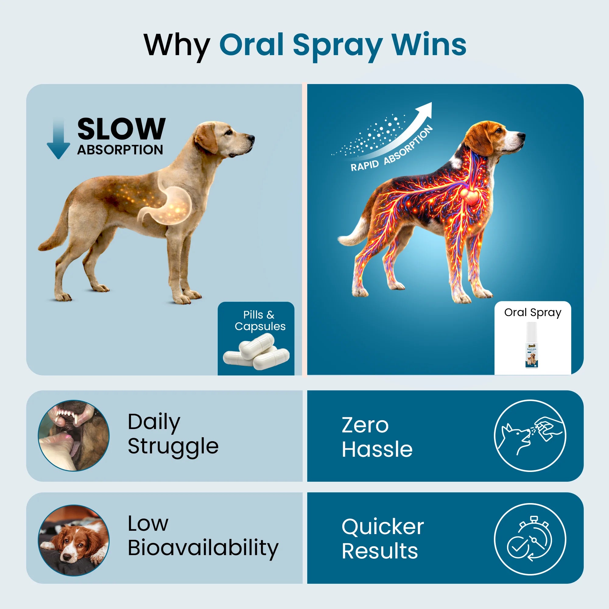 buy dog joint supplement online