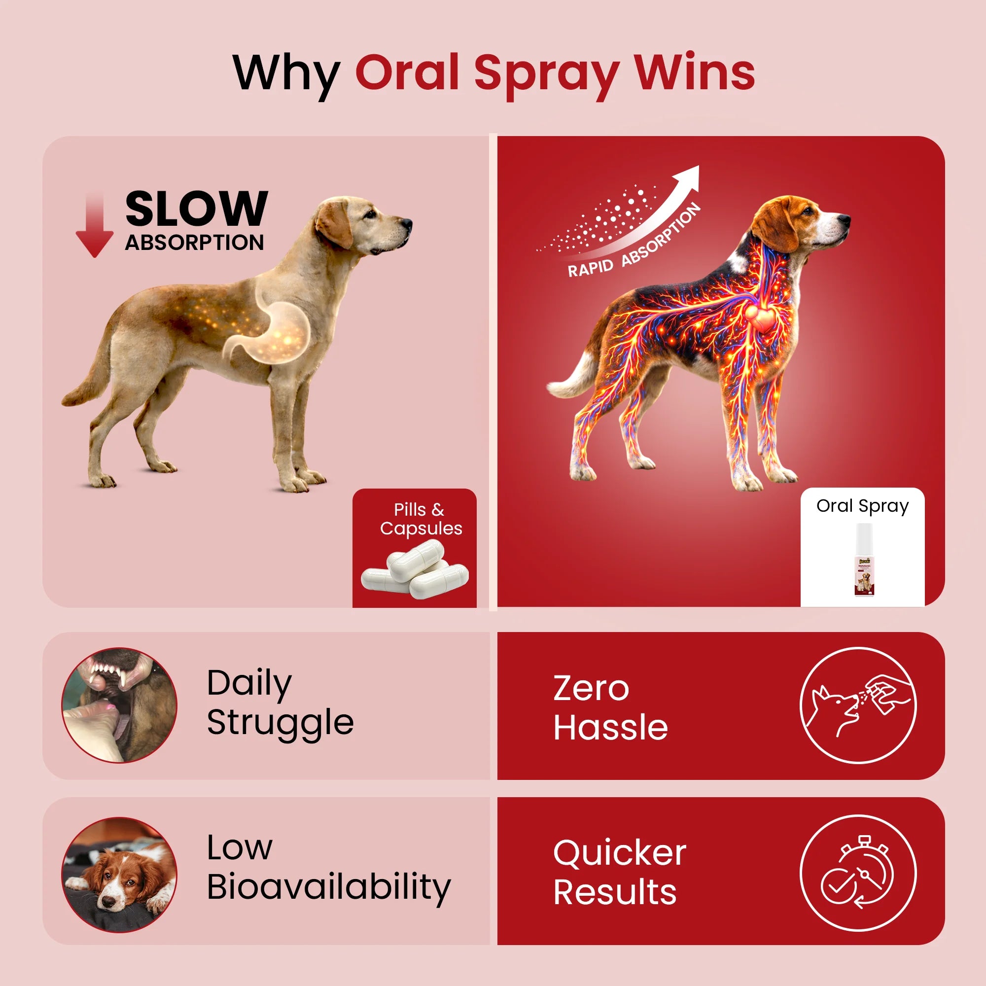 oral supplement spray for pets
