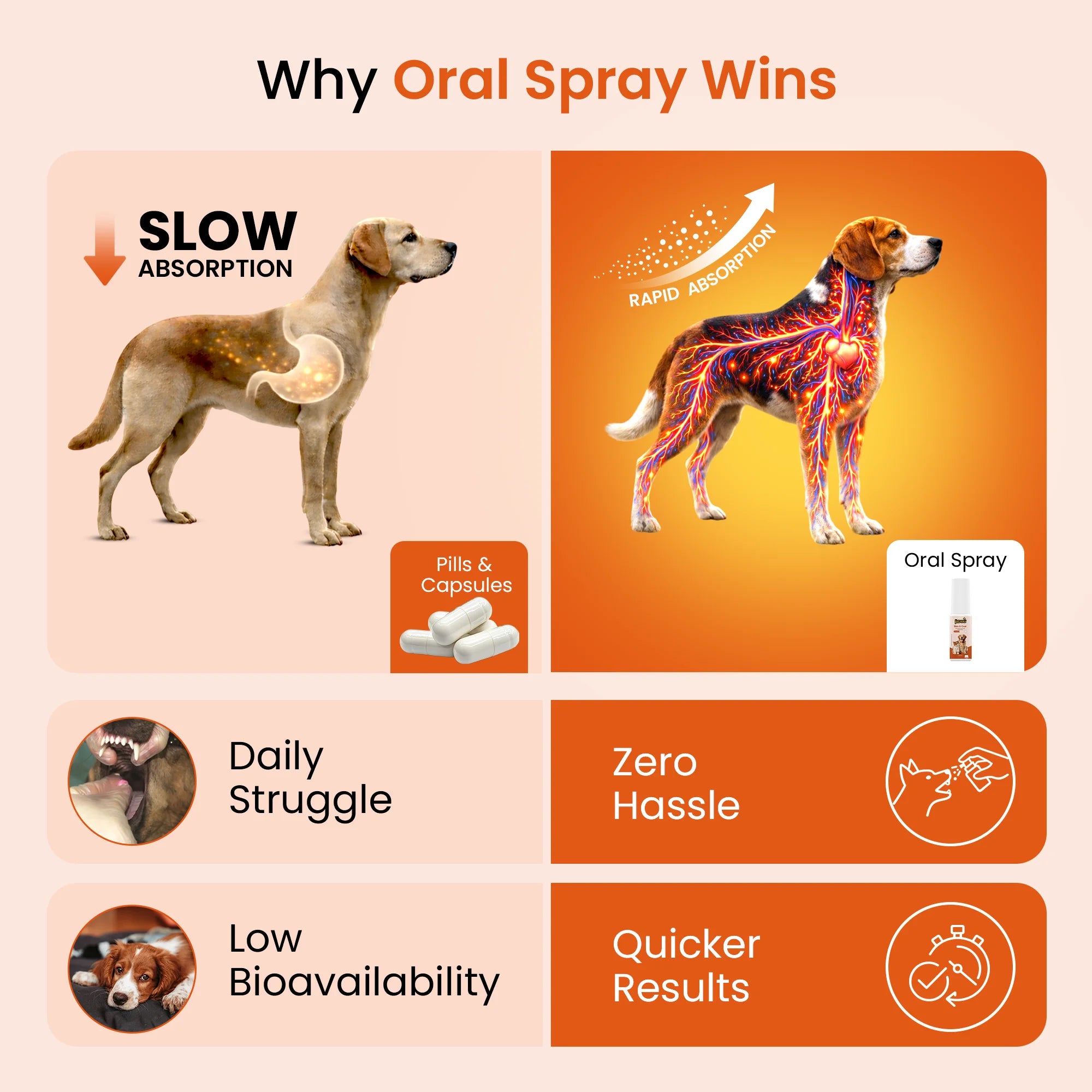 dog shedding supplement